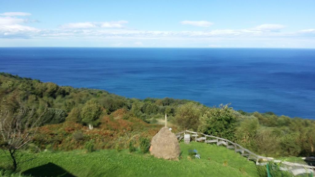 Harrigain Daire San Sebastián Oda fotoğraf